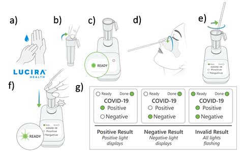 test seal labs covid test instructions|Instructions .